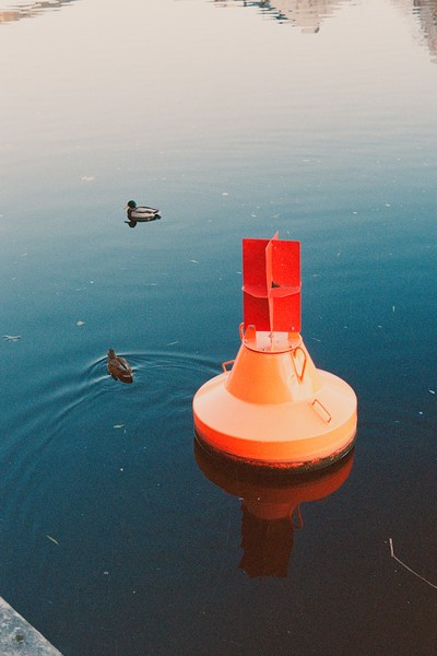 oH, bUoY.